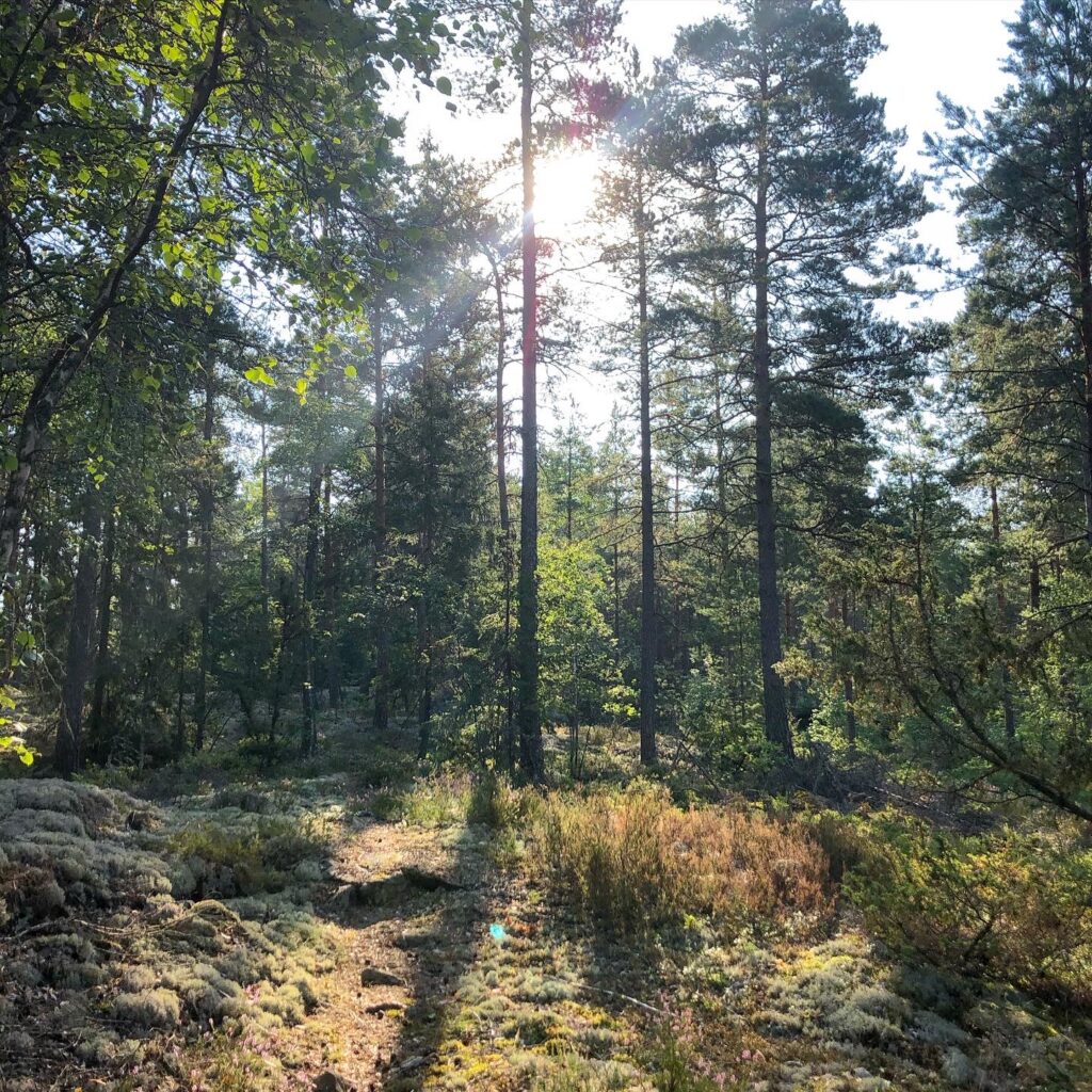 Lunnsjöns naturreservat