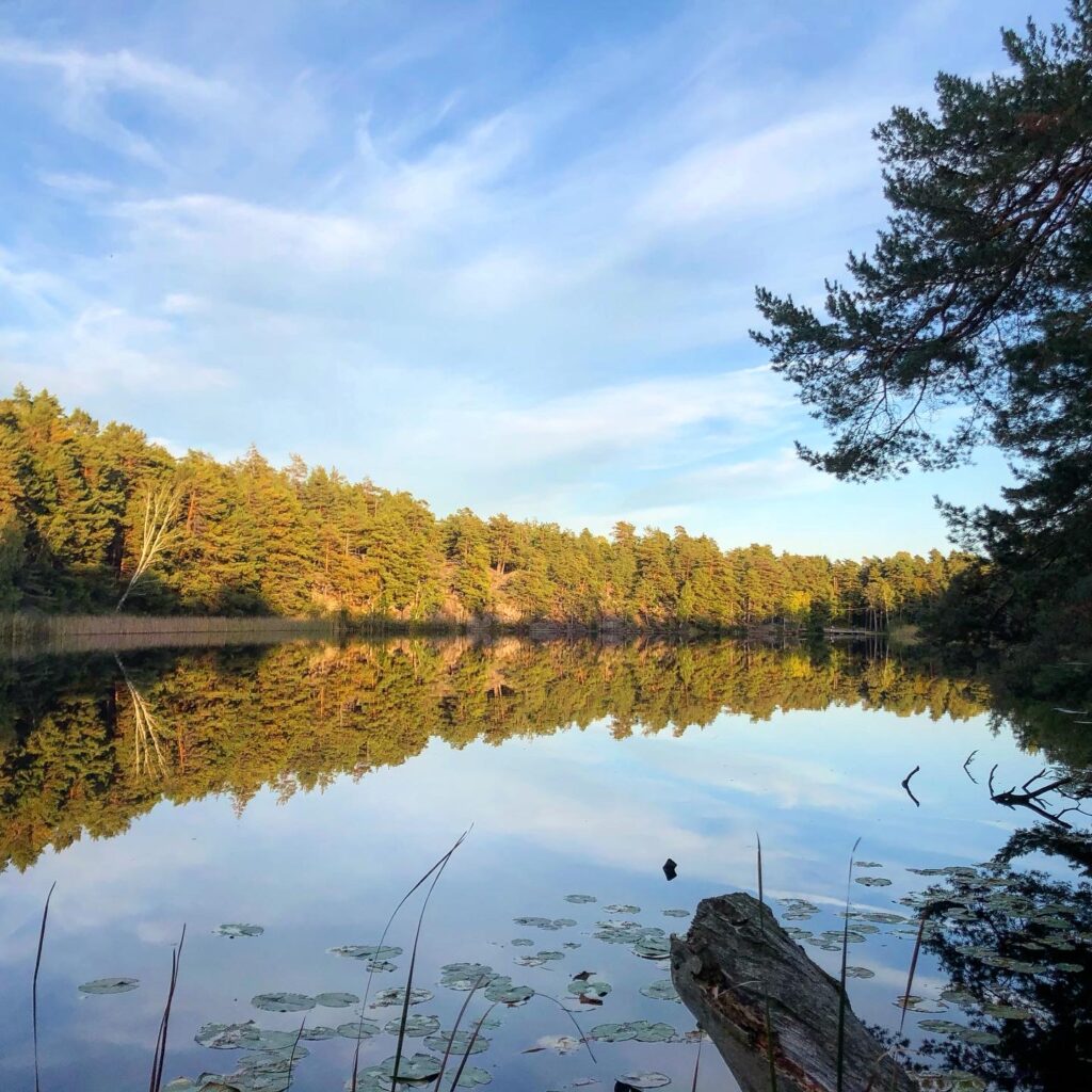 Skog och löpning är bästa medicinen