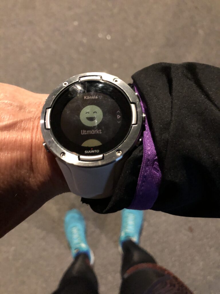 Suuntorun