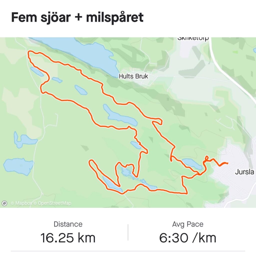 Dagens runda