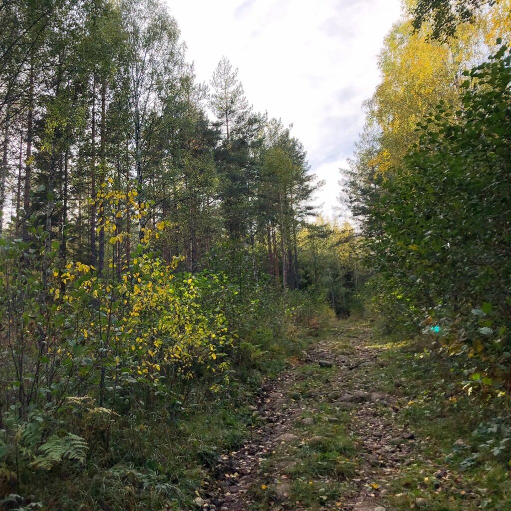 Lite ”här och nu”