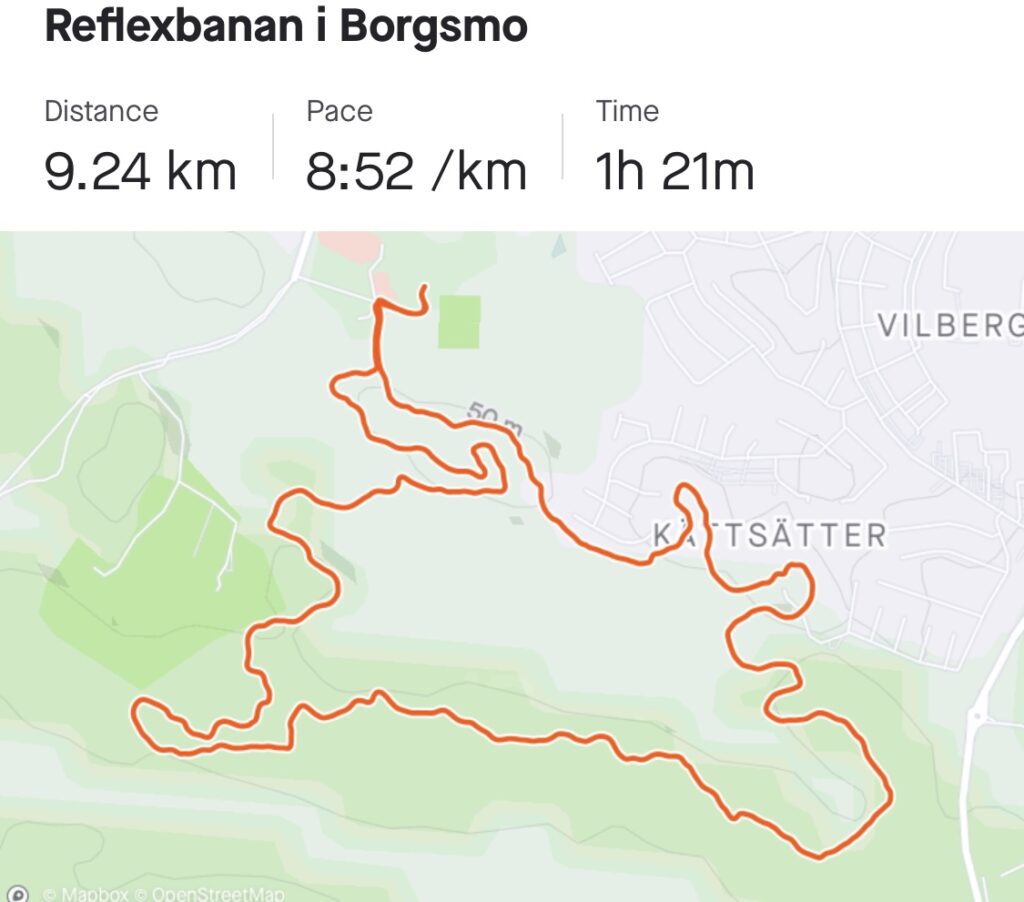 Reflexbanan i Borgsmo