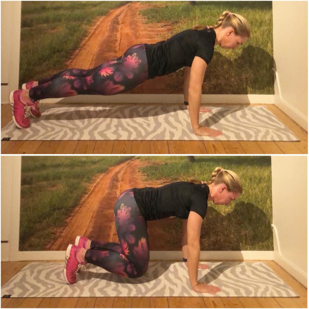 Planka till björnen