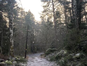 Första snön