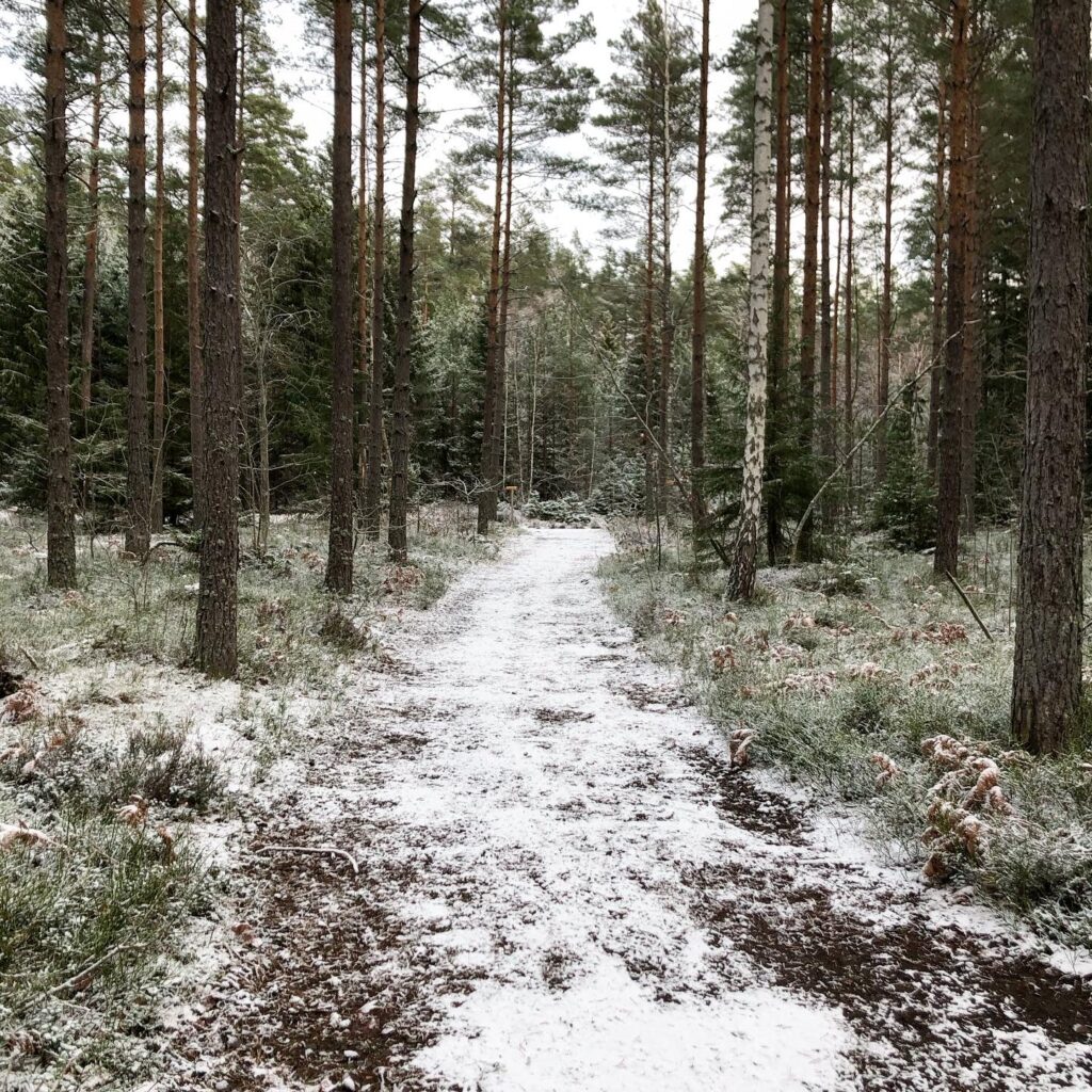 Skogsstig