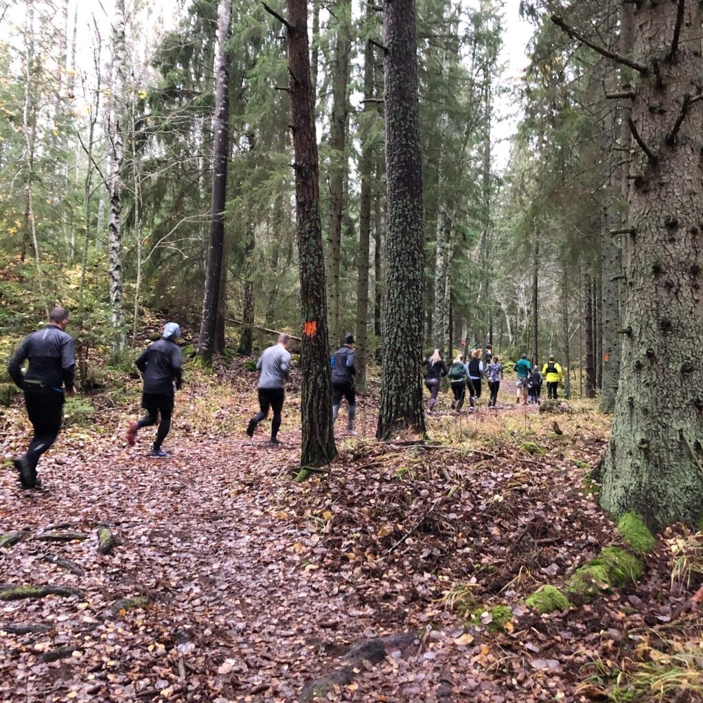 Myspass med Runacademy