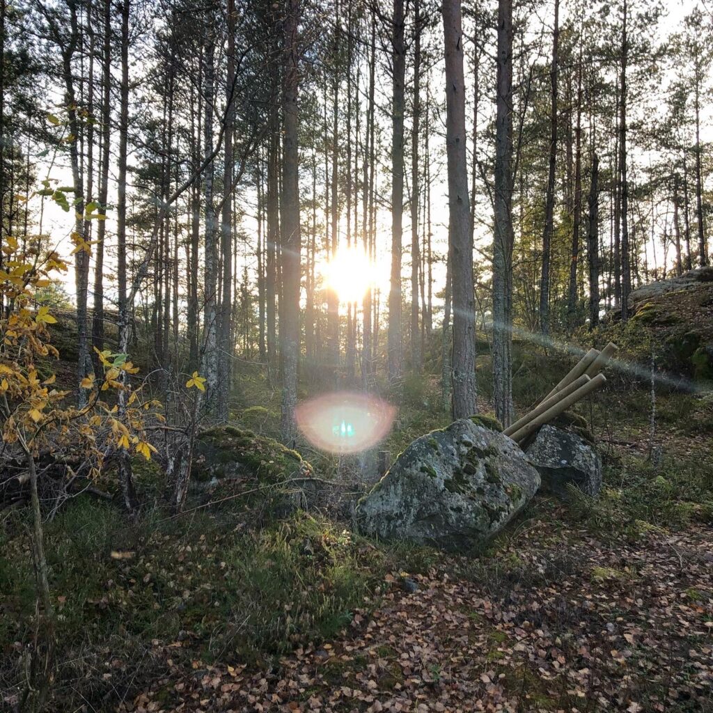 Skogen