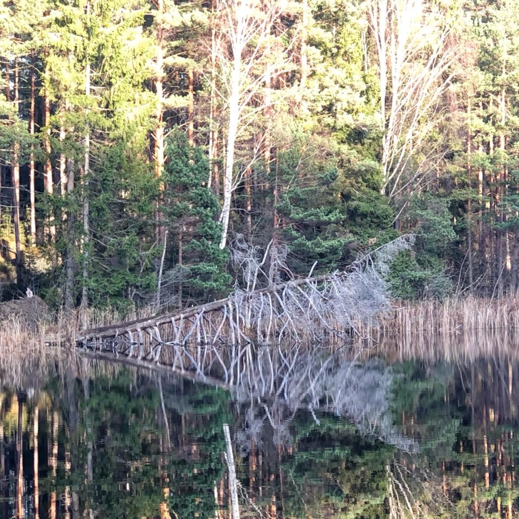 Lillsjön