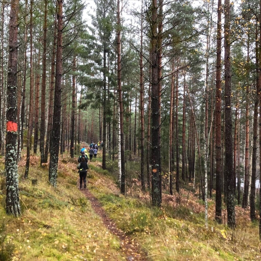 F305E143-5BB4-45D8-BB39-2B45FD959648-1024x1024 - Myspass med Runacademy