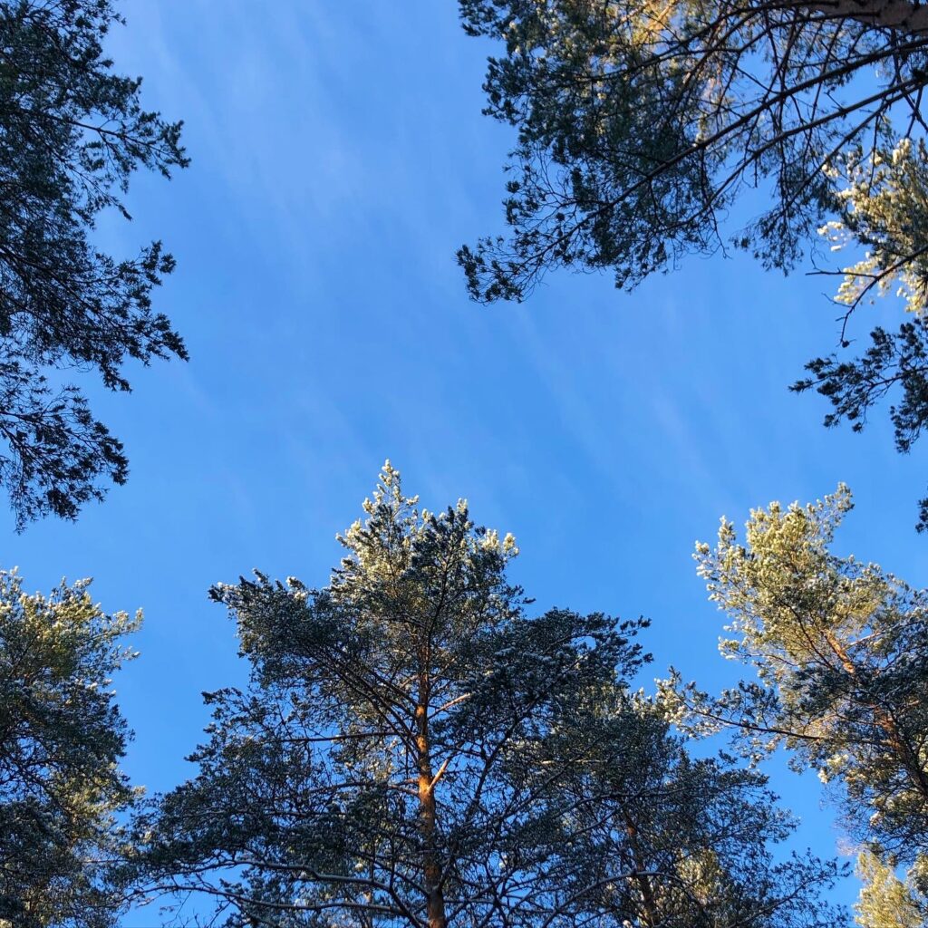Blå himmel