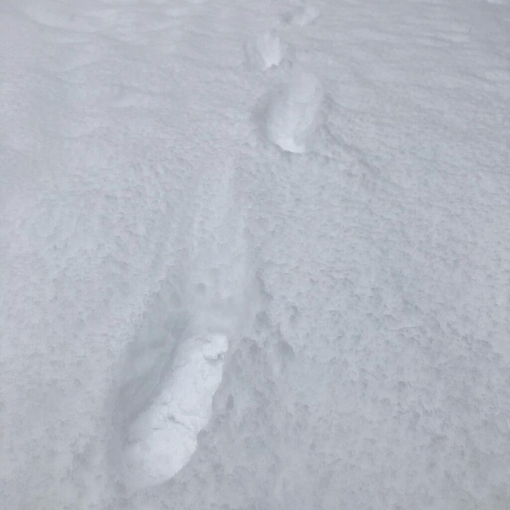 Fotsteg i snön