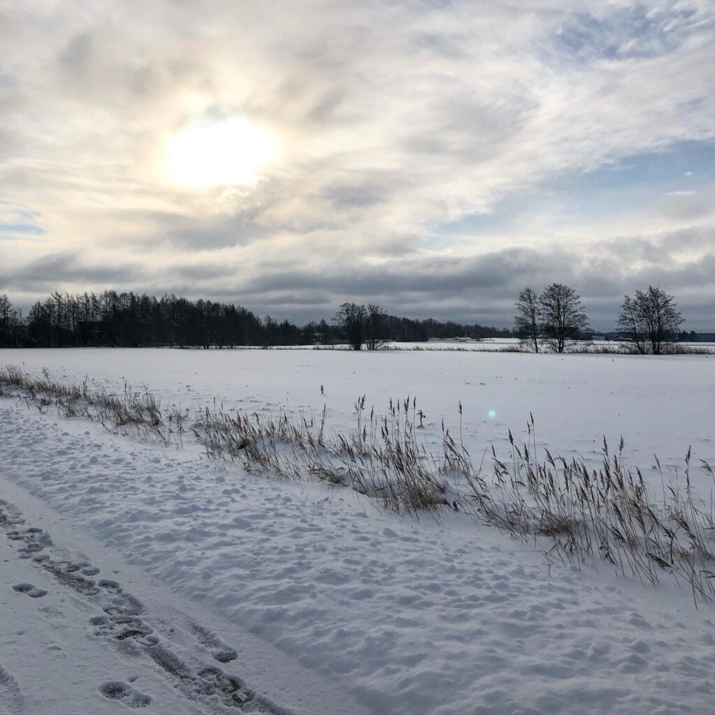 Dagsljus