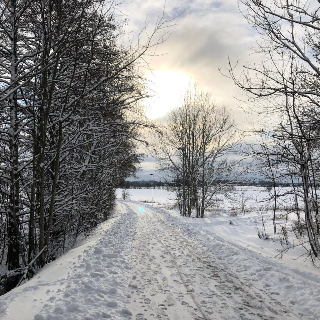 Vinter