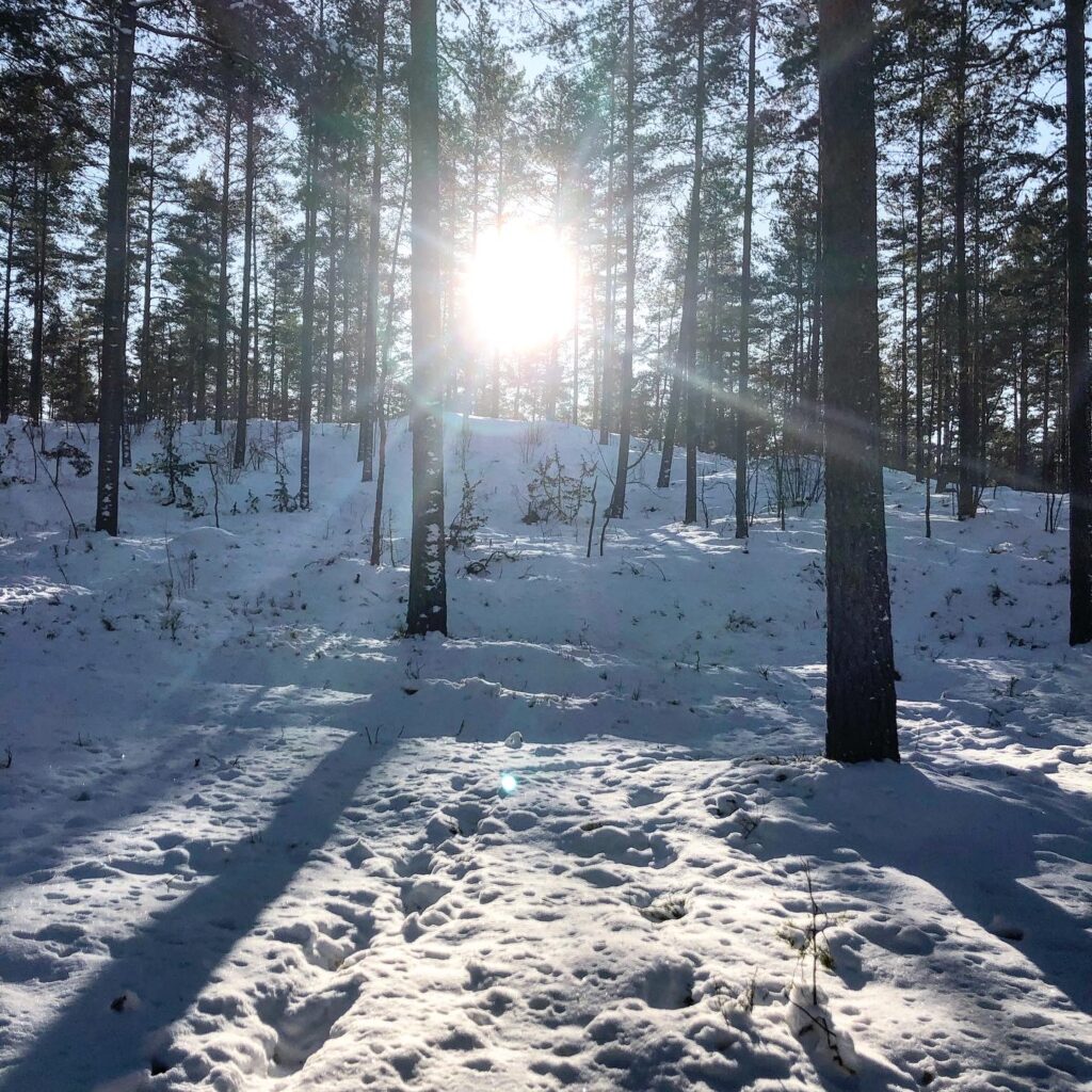 Bästa ”medicinen”