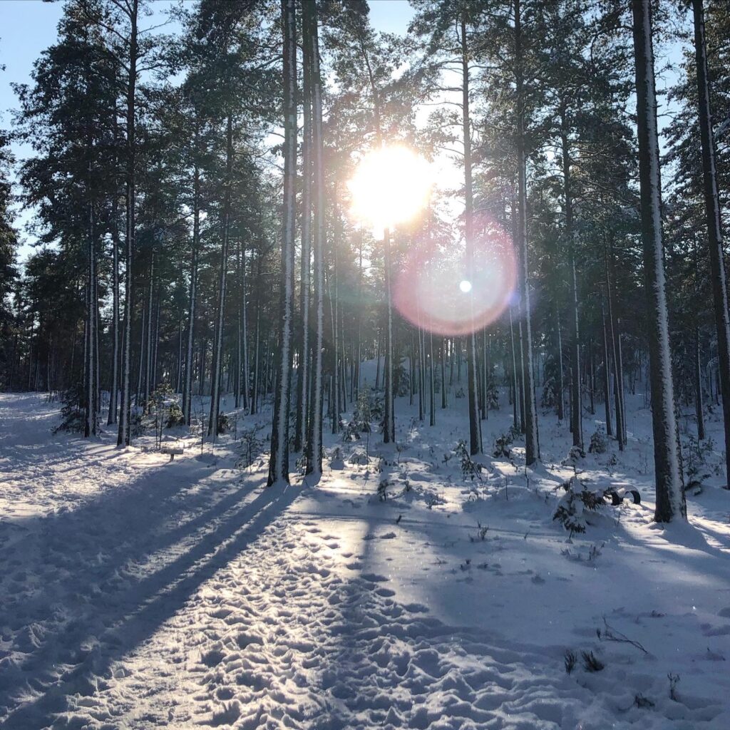 Vinter