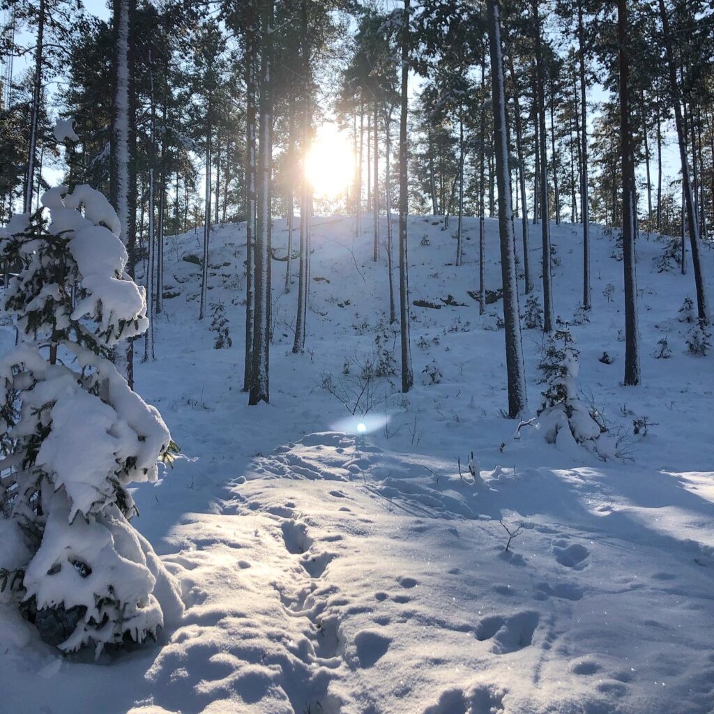 Vinter
