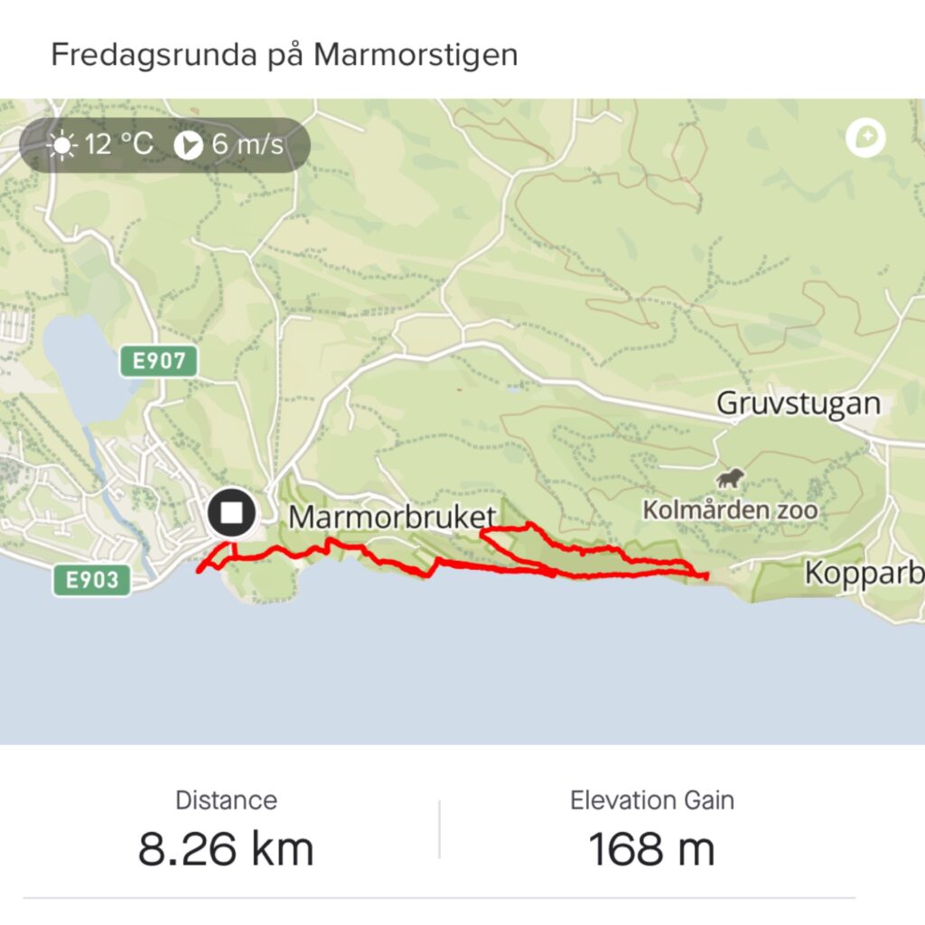 Fredagsfys bland blåsippor och utsikt