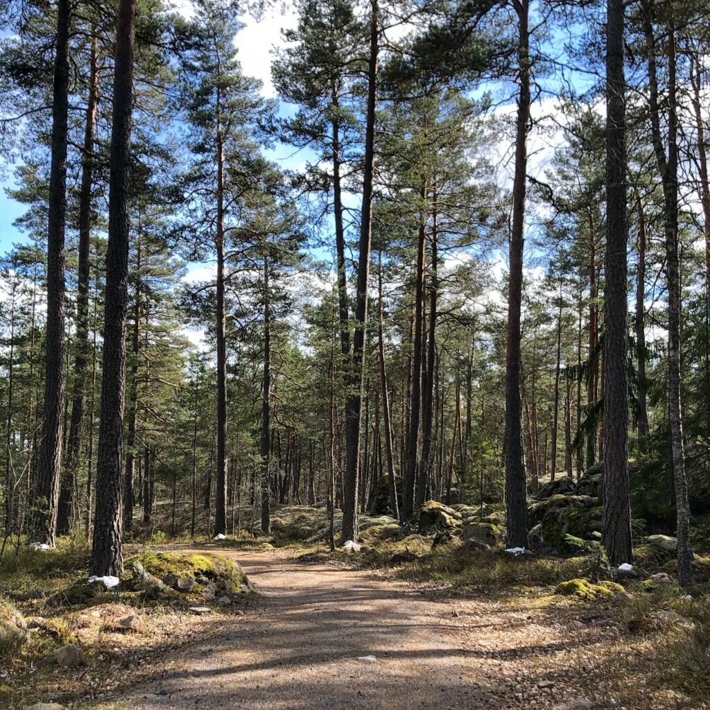Skogen