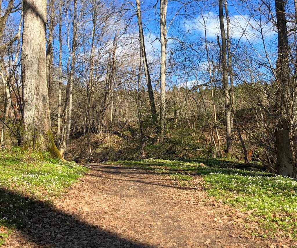 Auroraparken Hults Bruk