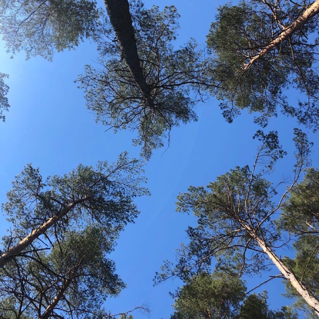 Blå himmel