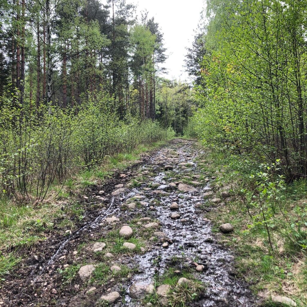Löpning