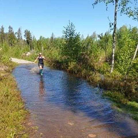Springer i vatten