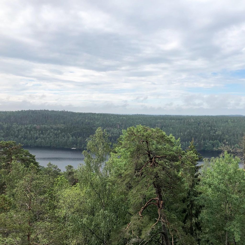Ågelsjön från Jakobsdalsberget