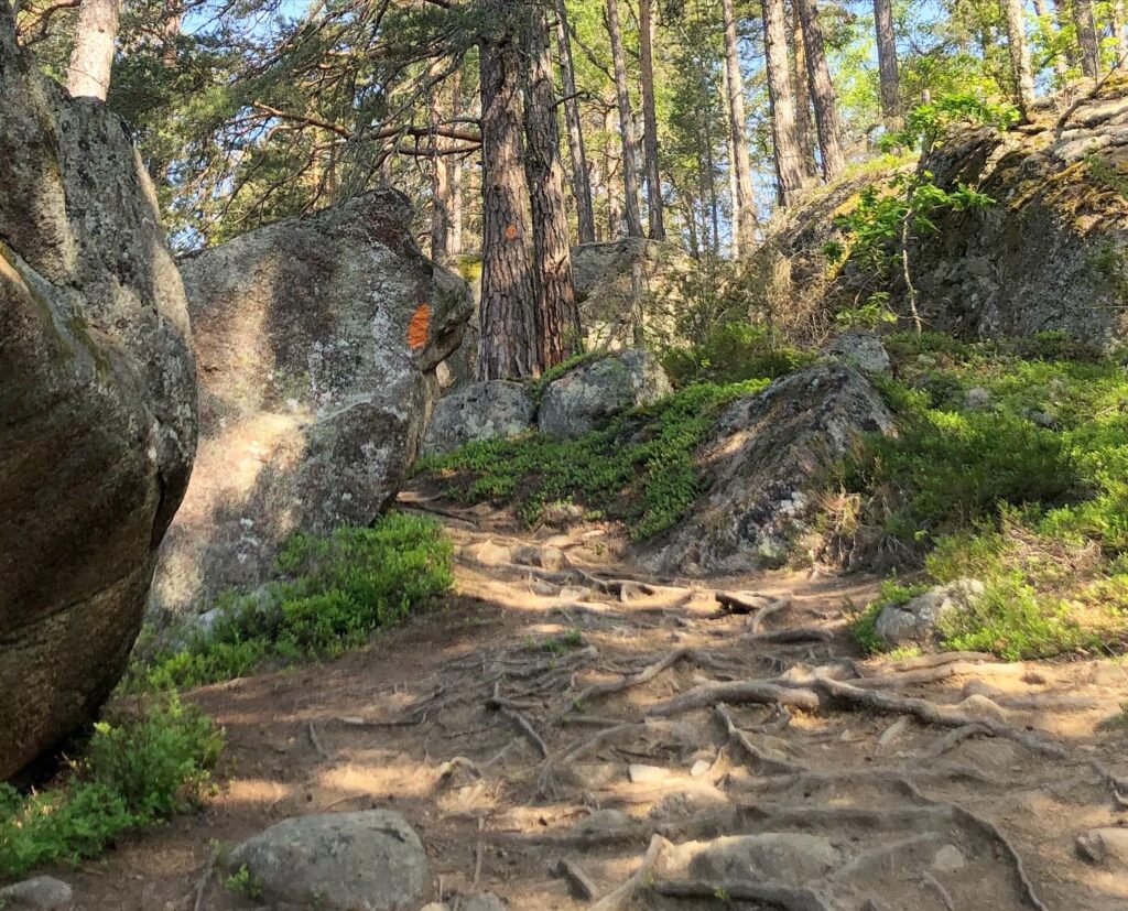 Trailstig