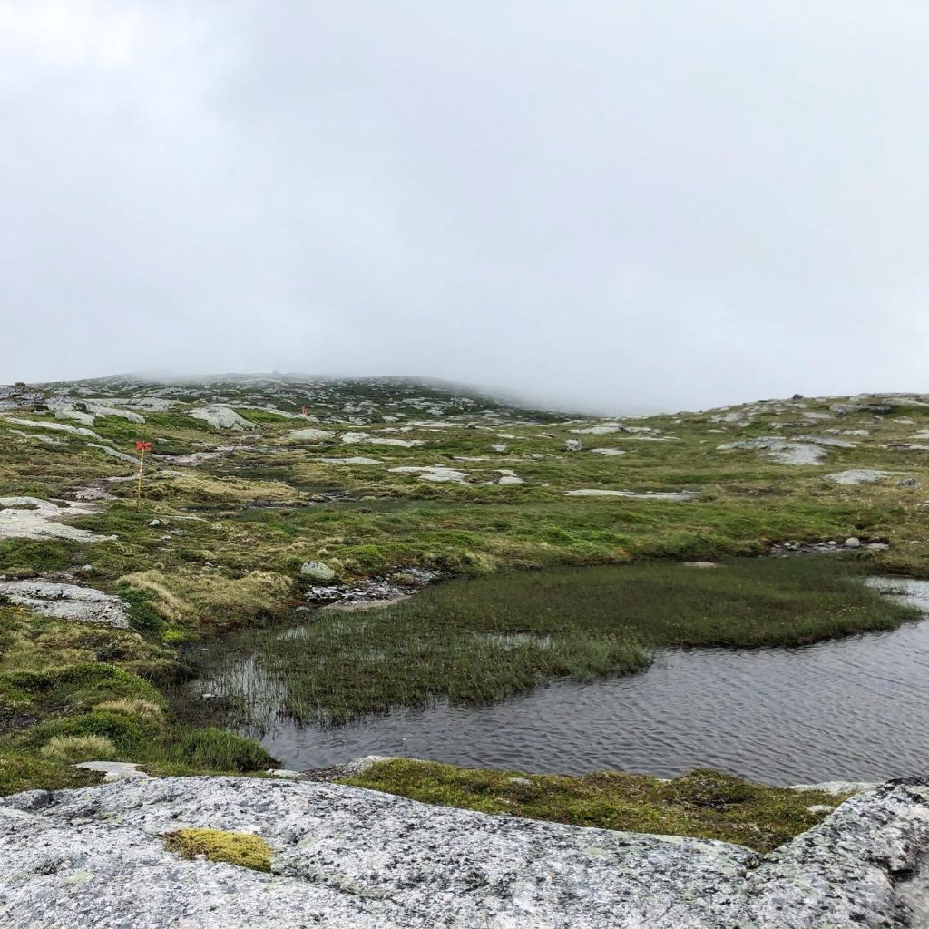 Mullfjället