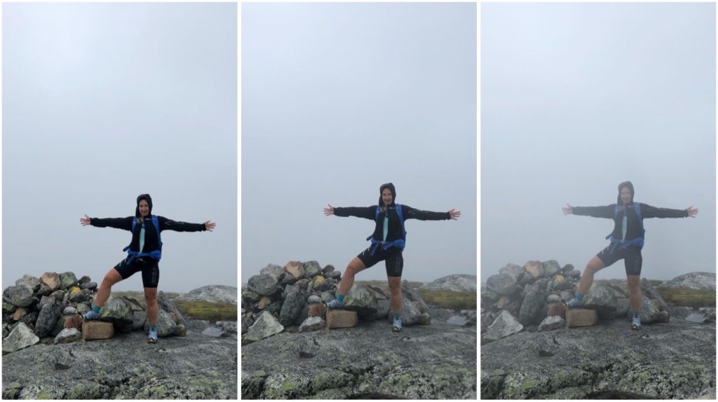 Toppen av Mullfjället
