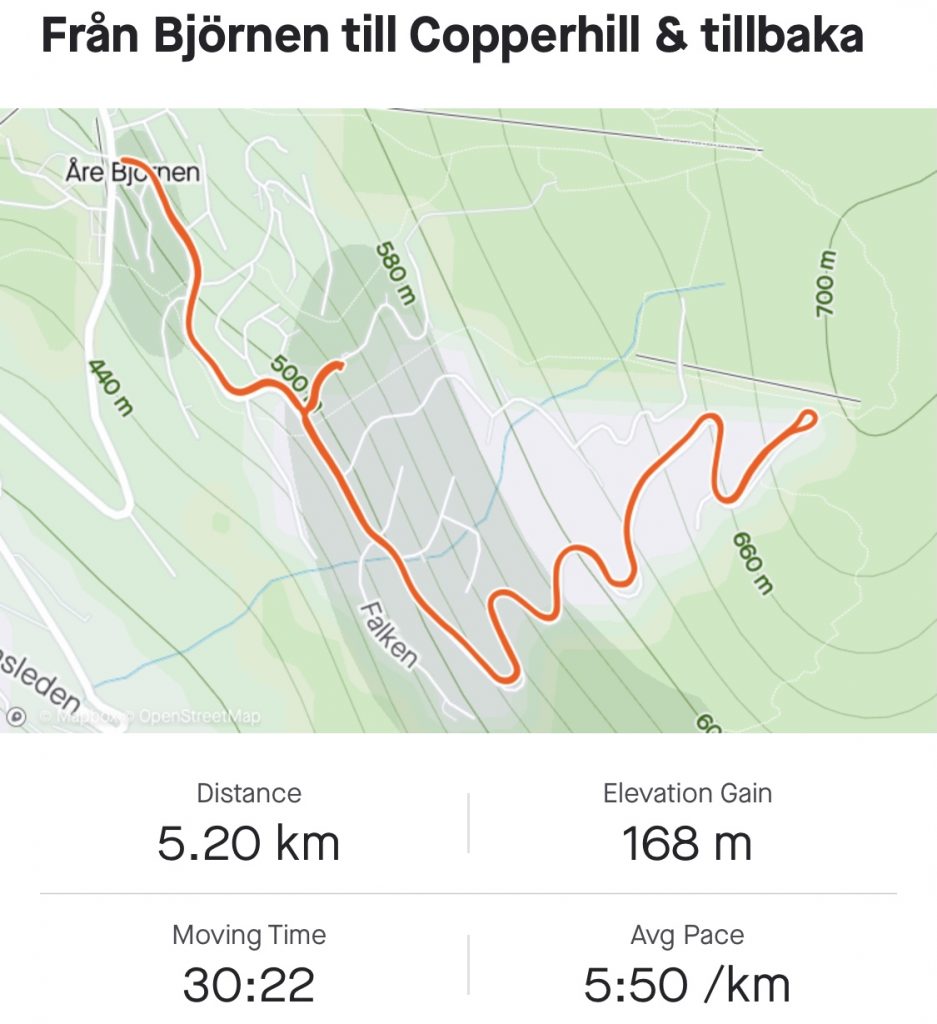 Dagens runda