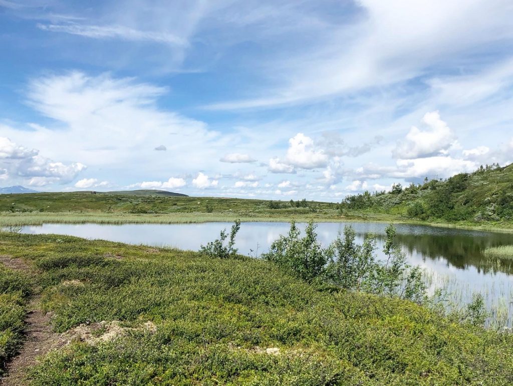 Välliste