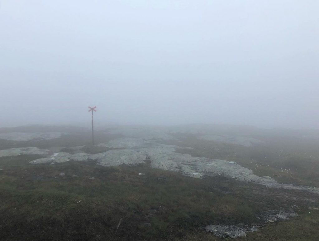 Dimma på fjället