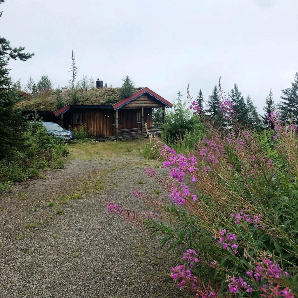 Trysil hytteområde