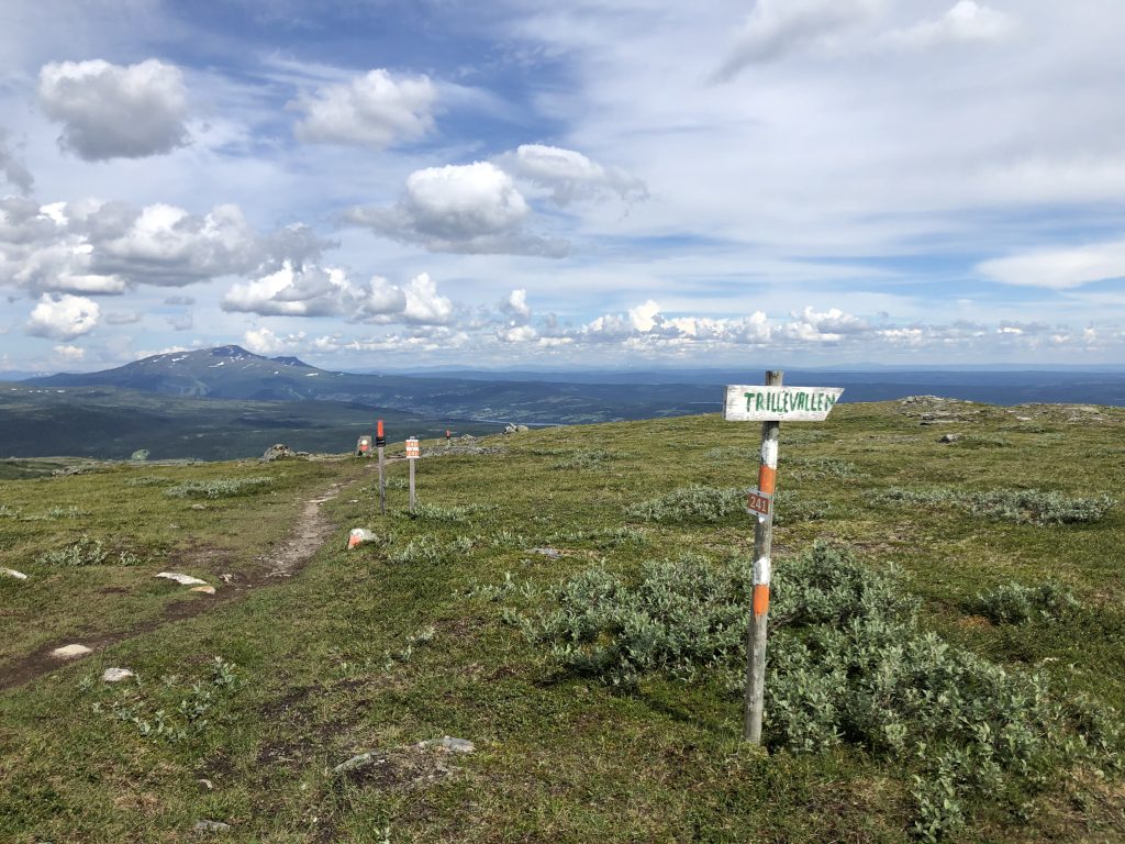 Nervägen