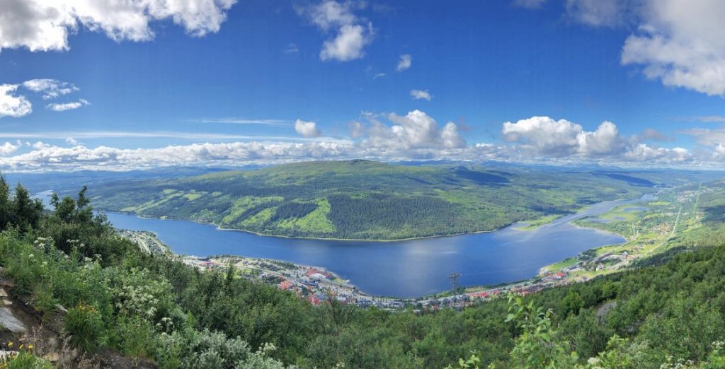 Mörvikshummeln