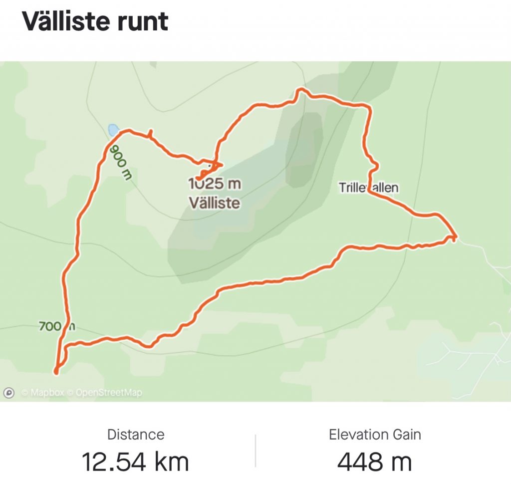 Välliste runt