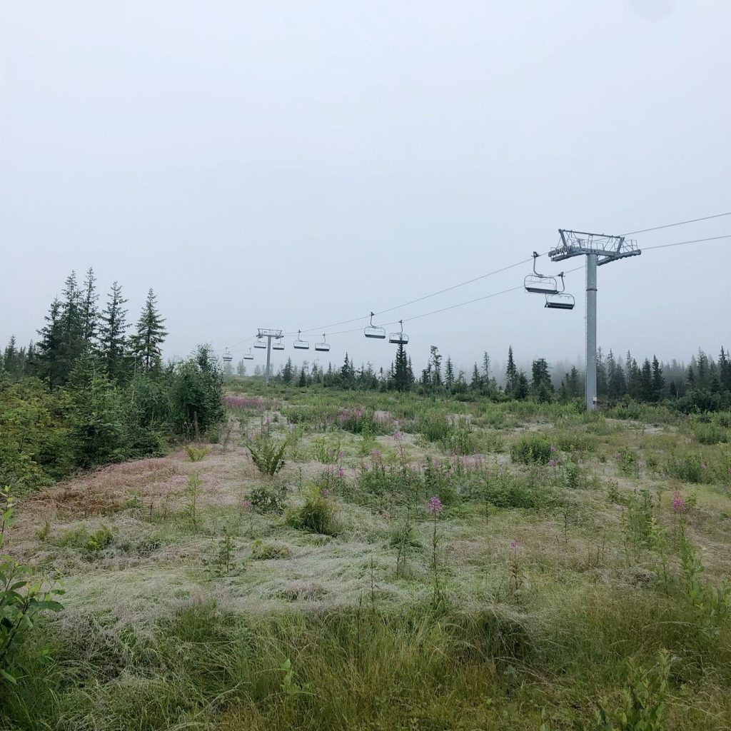 Trysilfjellet