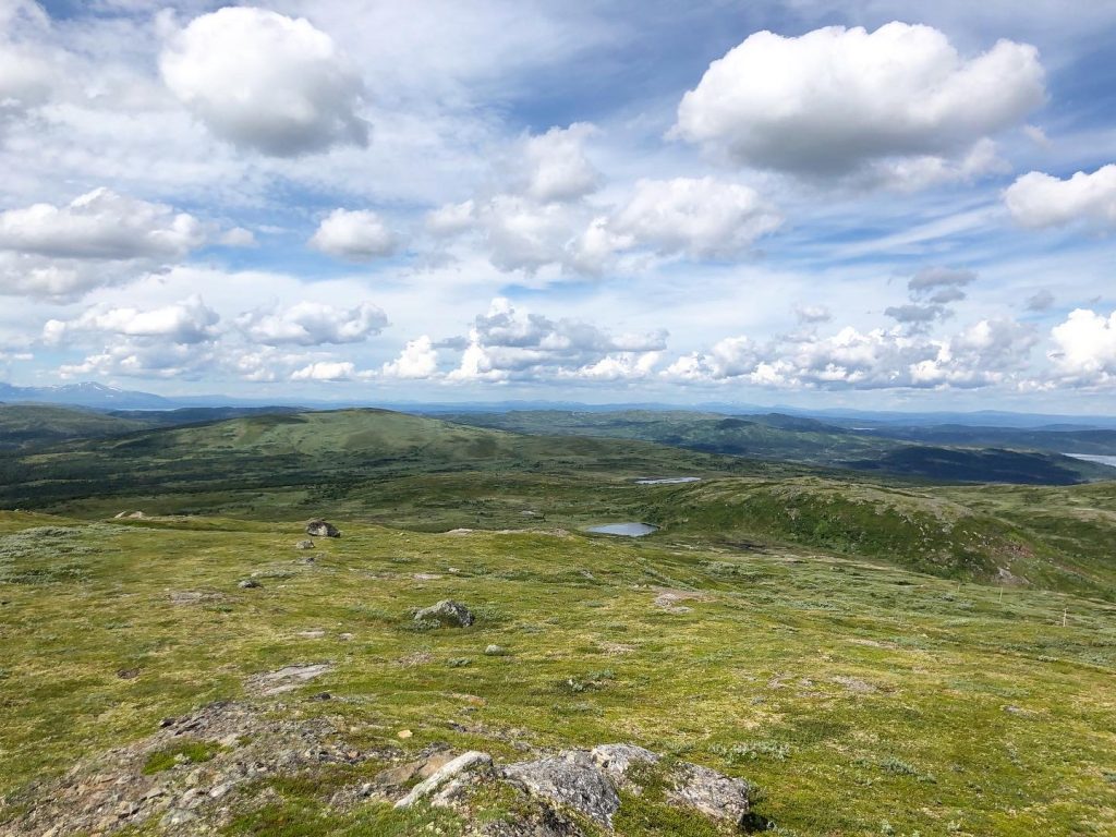 Välliste