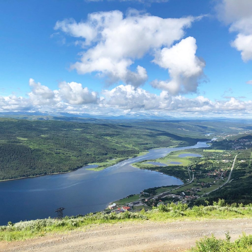 Mörvikshummeln
