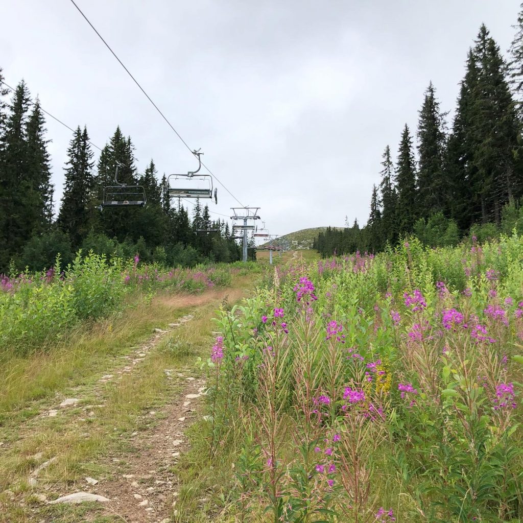 Trysilfjellet