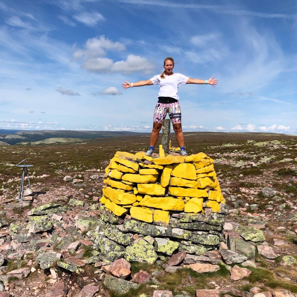 Brynflået 930 möh