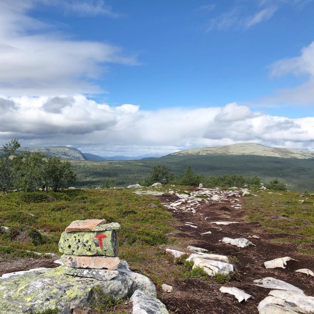 Skagsvola