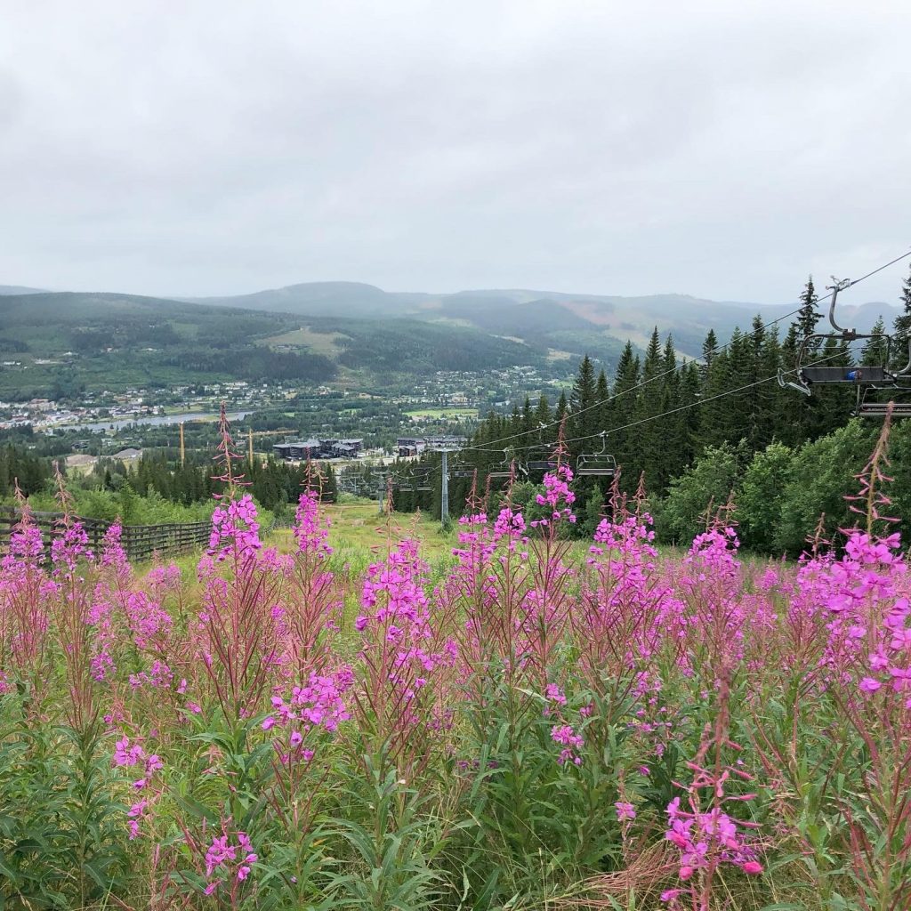 Trysilfjellet