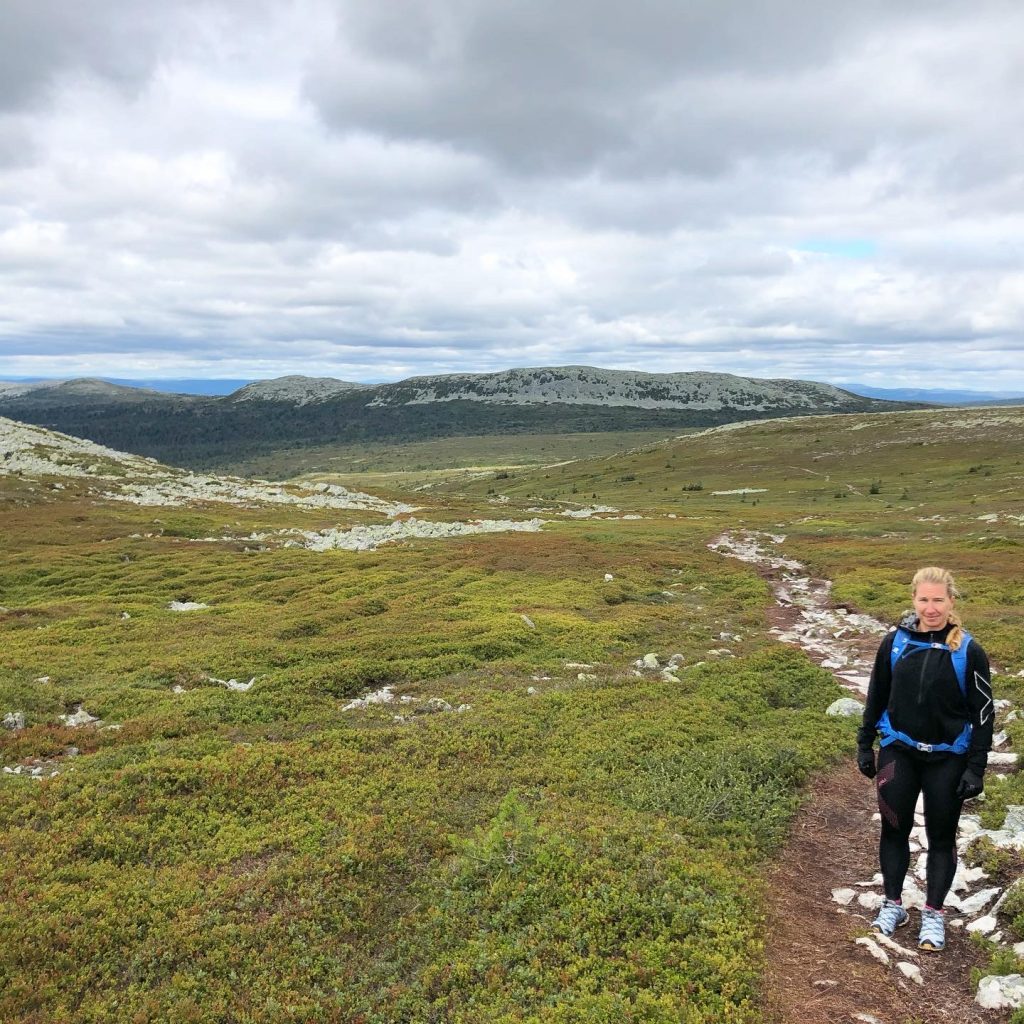 Trysilfjället