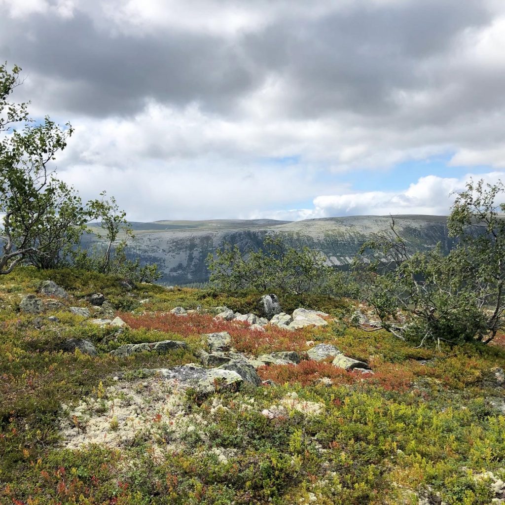 Norsk natur