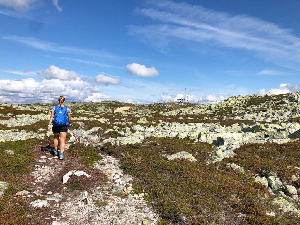 Fjällvandring 