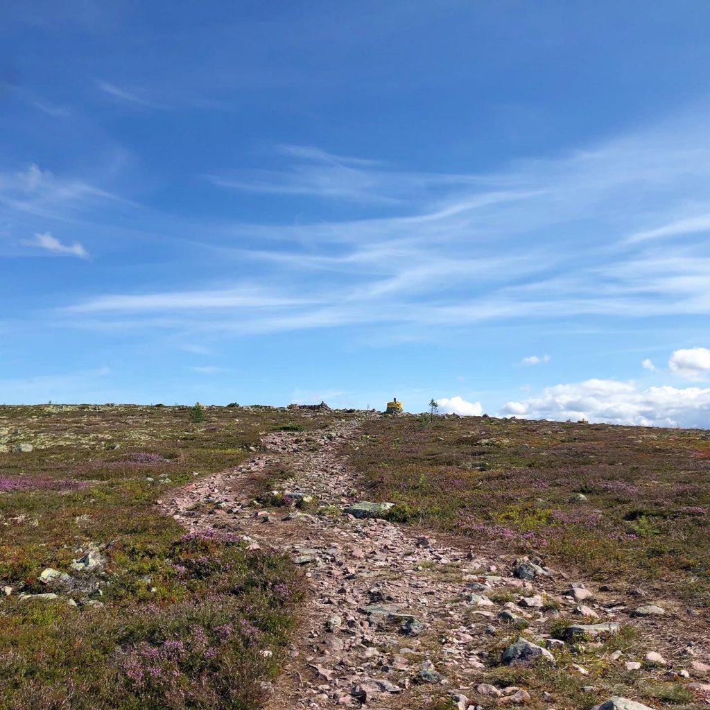 Brynflået 