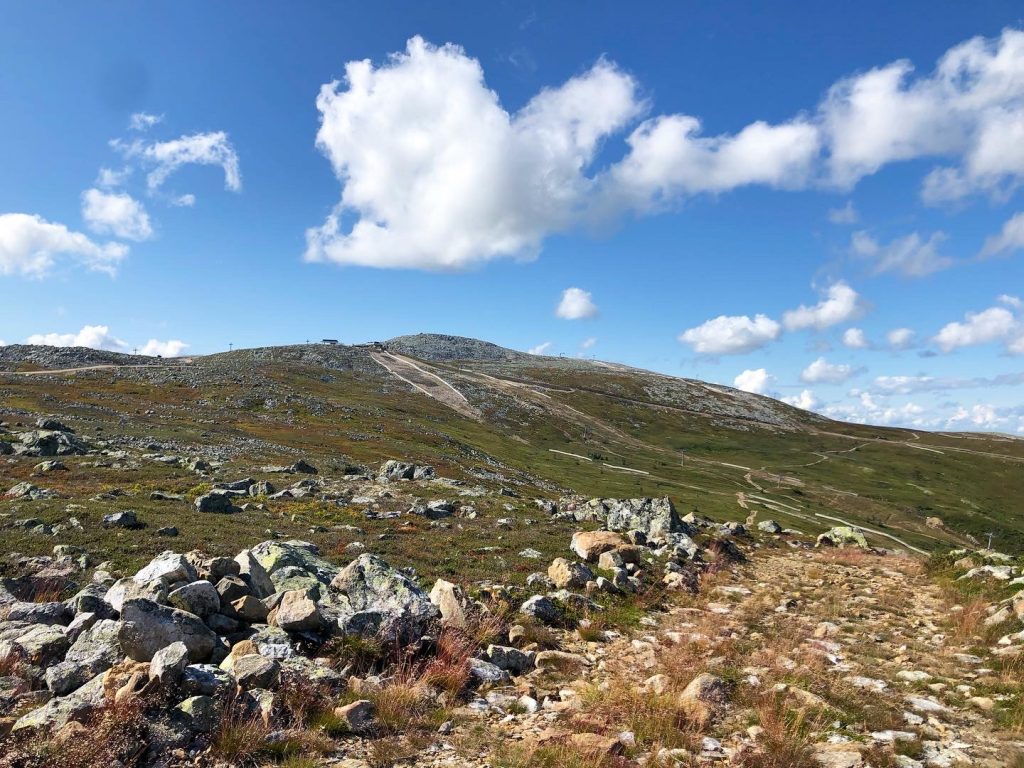 Trysilfjellet 