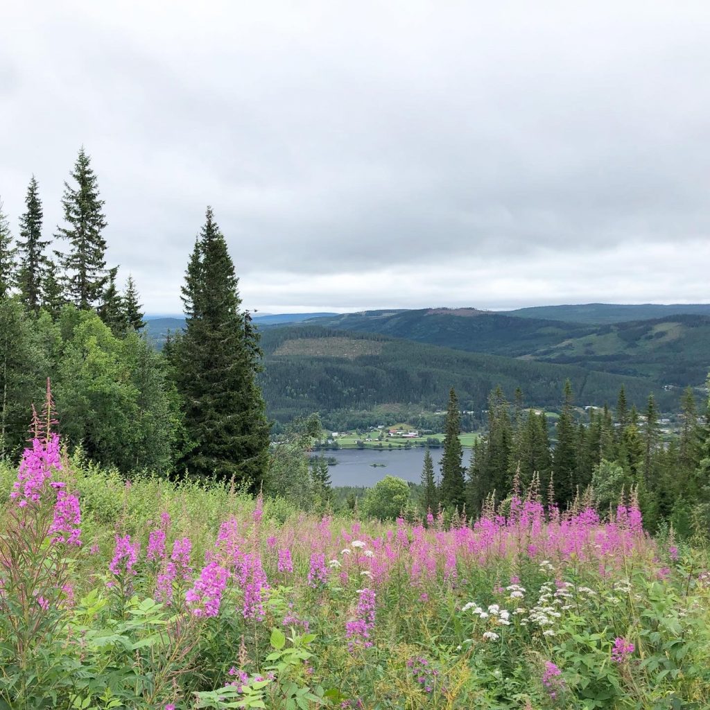Trysilfjellet